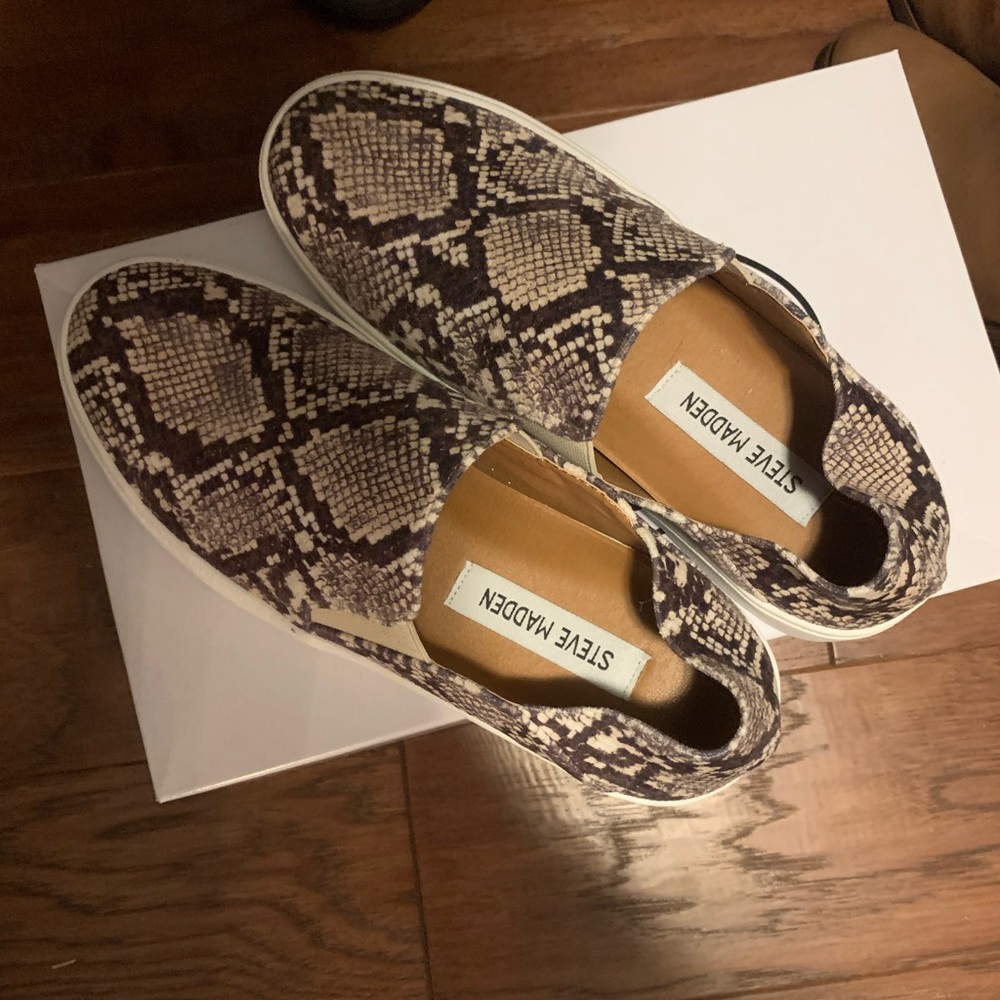 Steve Madden Snakeskin Sneakers
